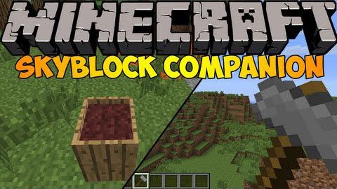 Skyblock Companion Mod 1