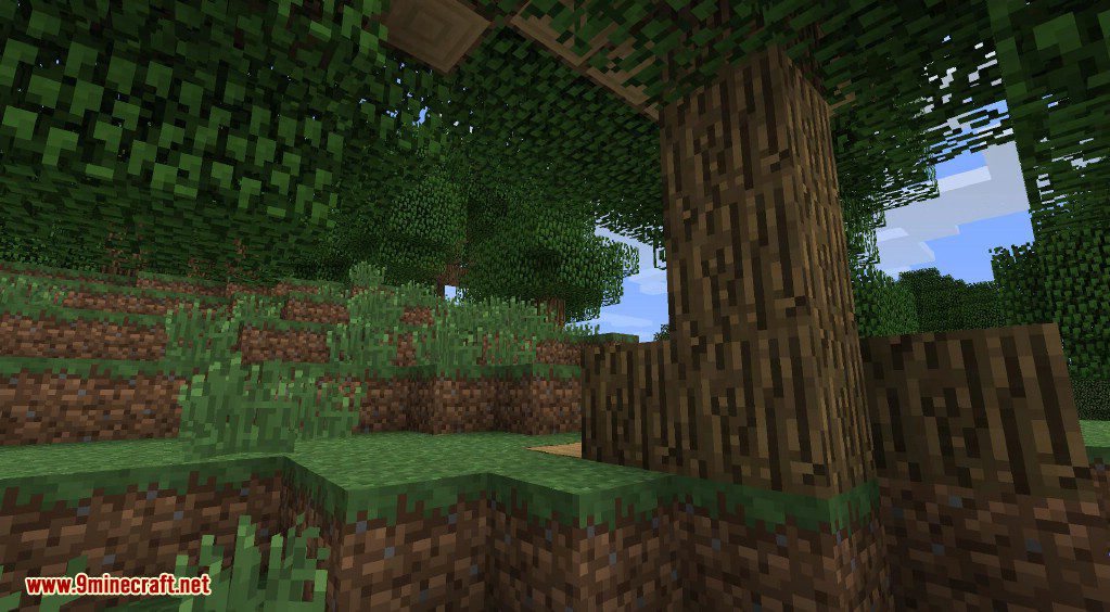 Better Biomes Mod 1.6.4 (New World Type, New Sub-Biomes) 16