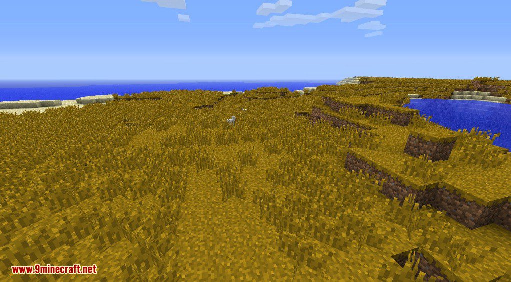 Better Biomes Mod 1.6.4 (New World Type, New Sub-Biomes) 20