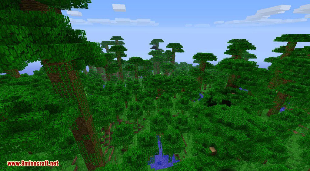 Better Biomes Mod 1.6.4 (New World Type, New Sub-Biomes) 21