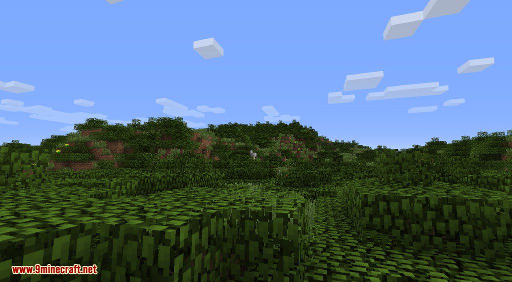 Better Biomes Mod 1.6.4 (New World Type, New Sub-Biomes) 29