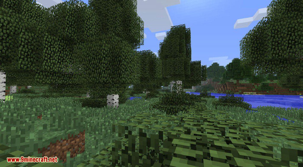 Better Biomes Mod 1.6.4 (New World Type, New Sub-Biomes) 5