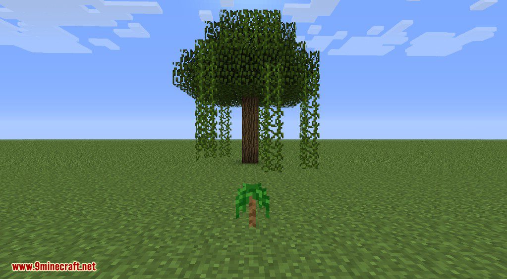 Better Biomes Mod 1.6.4 (New World Type, New Sub-Biomes) 43