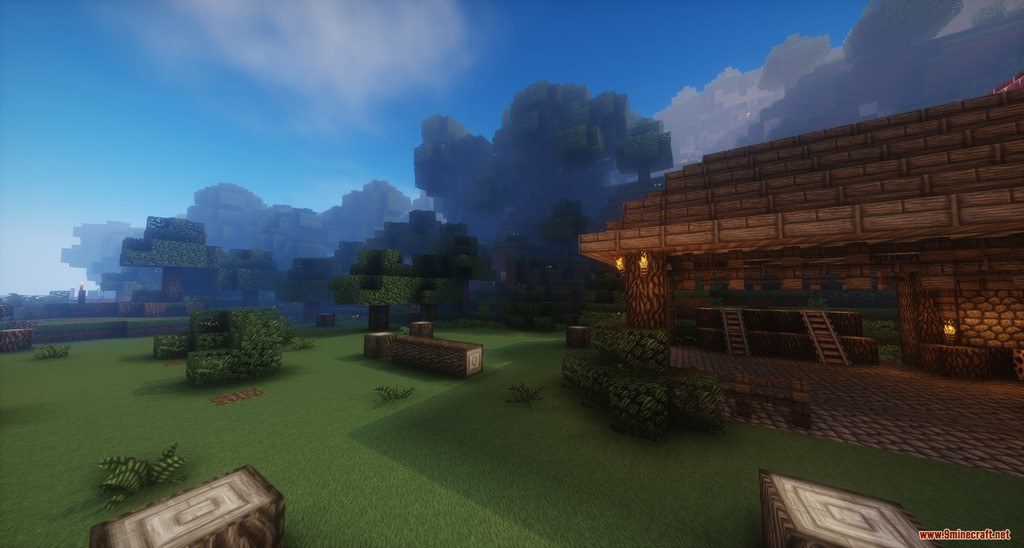 David's Detailed Resource Pack 1.12.2, 1.11.2 4