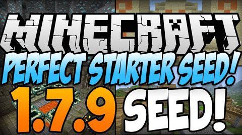 Perfect Starter Seed Thumbnail