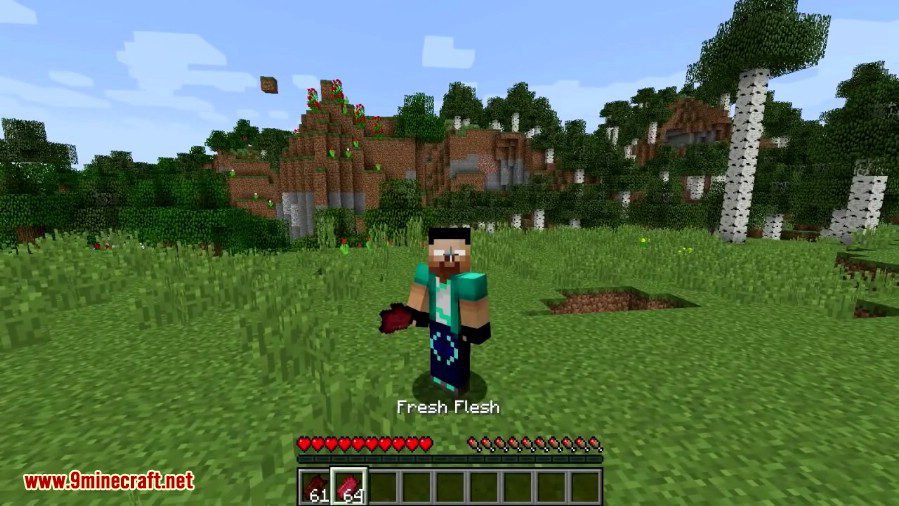 Zombie Steaks Mod 1.12.2, 1.11.2 (How to Eat Zombie in Minecraft) 2