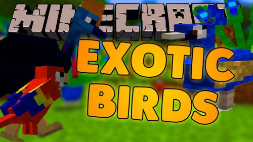 Exotic Birds Mod (1.20.1, 1.19.3) – Birds Take Over Minecraft Thumbnail