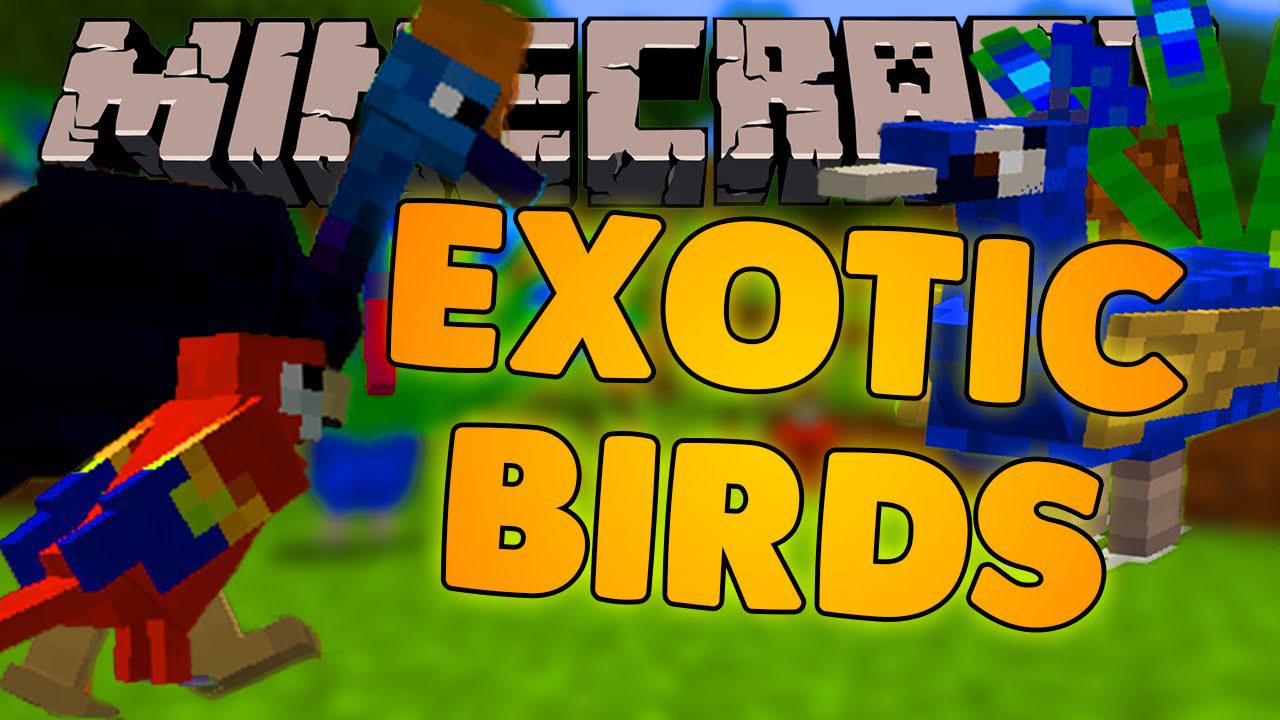 Exotic Birds Mod (1.20.1, 1.19.3) - Birds Take Over Minecraft 1