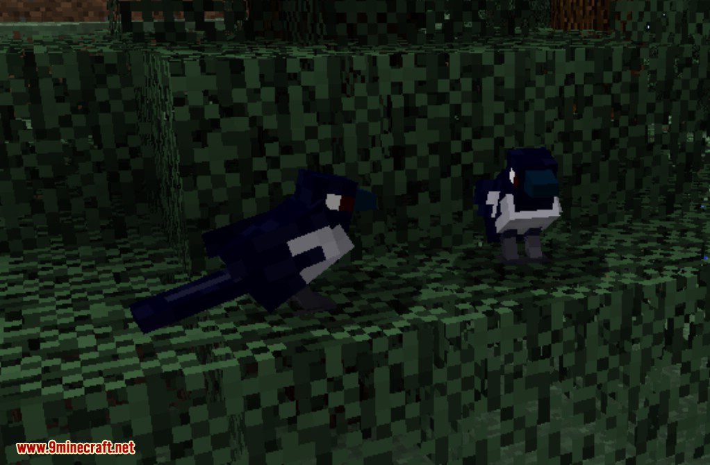 Exotic Birds Mod (1.20.1, 1.19.3) - Birds Take Over Minecraft 11