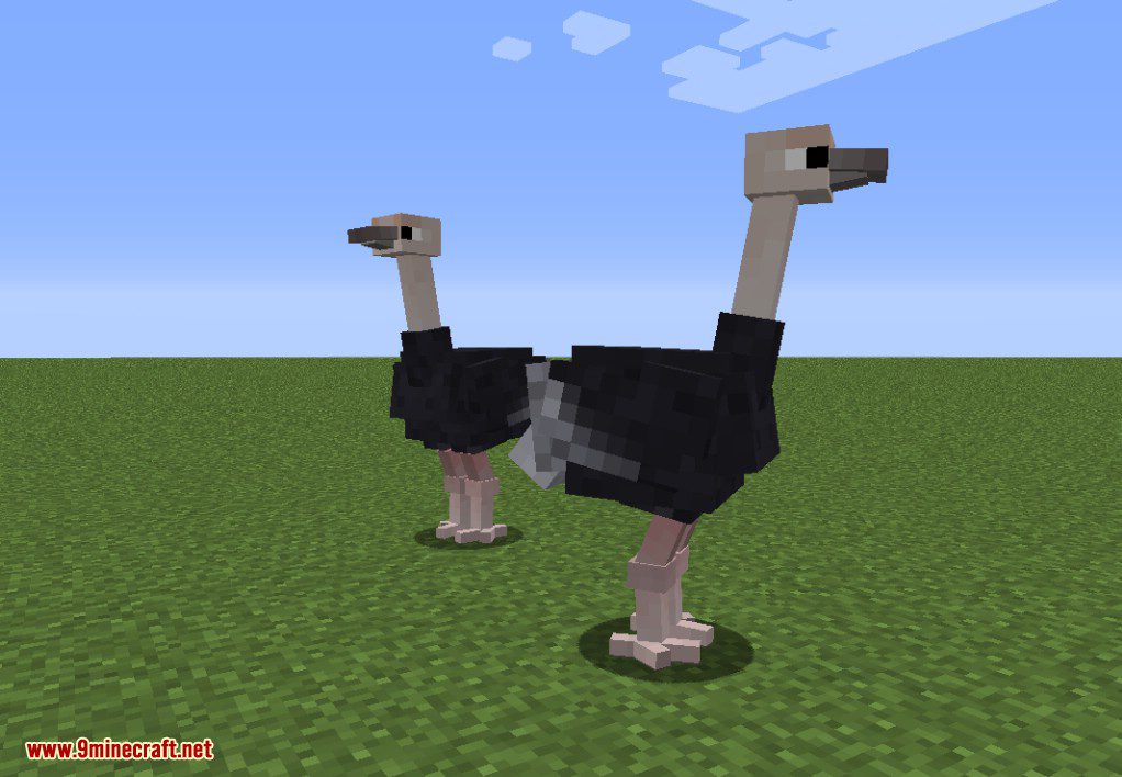 Exotic Birds Mod (1.20.1, 1.19.3) - Birds Take Over Minecraft 12