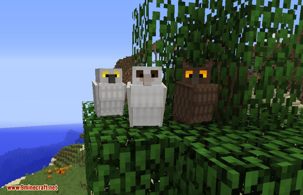 Exotic Birds Mod (1.20.1, 1.19.3) - Birds Take Over Minecraft 13