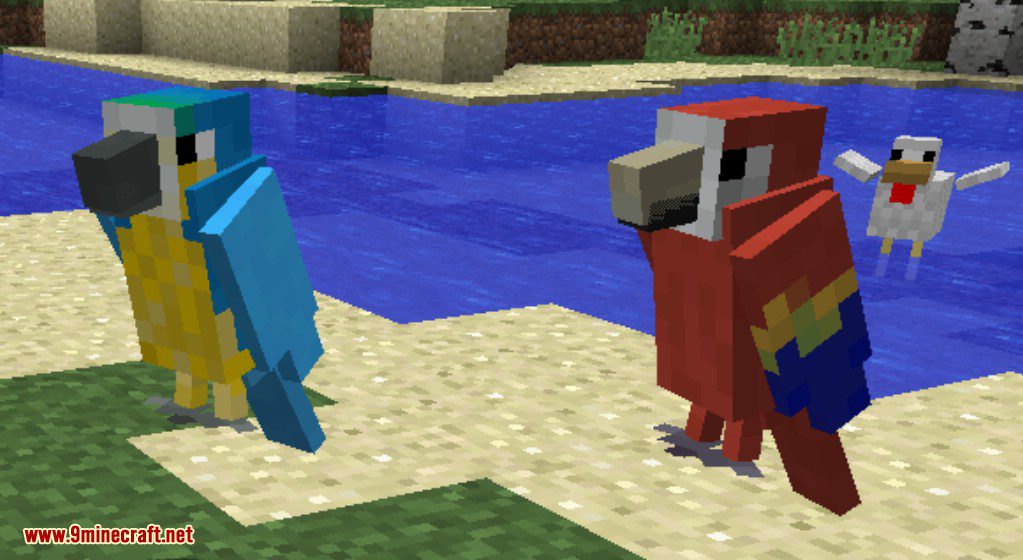 Exotic Birds Mod (1.20.1, 1.19.3) - Birds Take Over Minecraft 14