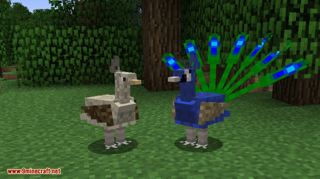 Exotic Birds Mod (1.20.1, 1.19.3) - Birds Take Over Minecraft 15