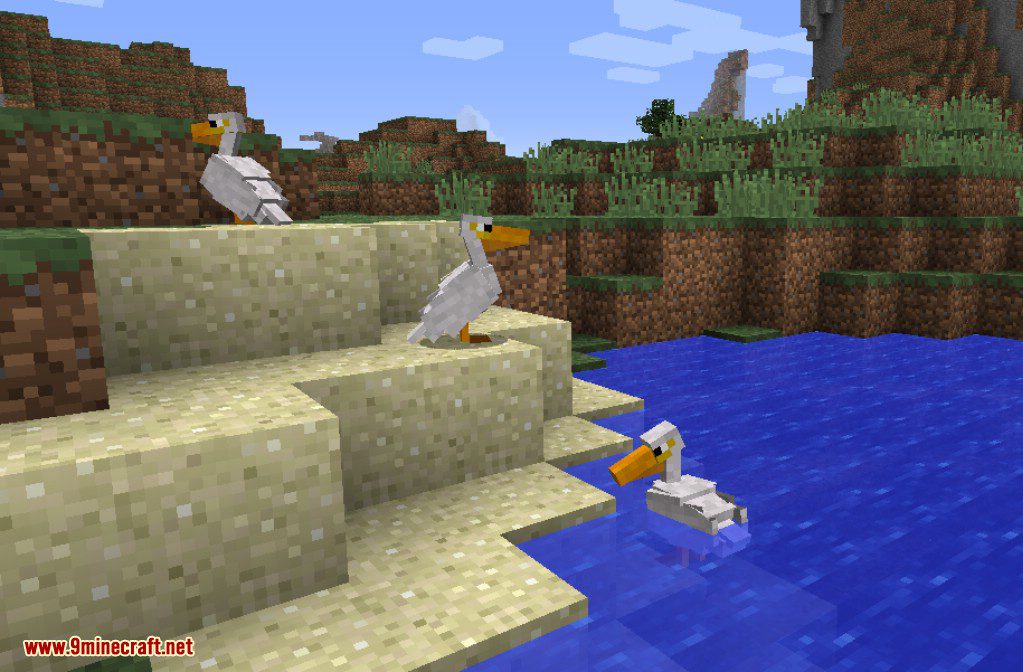 Exotic Birds Mod (1.20.1, 1.19.3) - Birds Take Over Minecraft 16