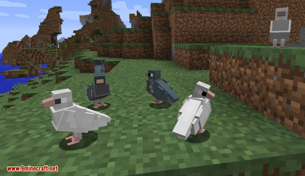 Exotic Birds Mod (1.20.1, 1.19.3) - Birds Take Over Minecraft 19