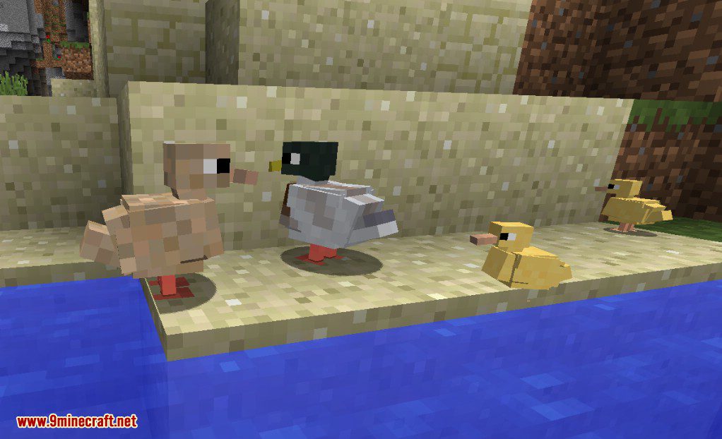 Exotic Birds Mod (1.20.1, 1.19.3) - Birds Take Over Minecraft 4