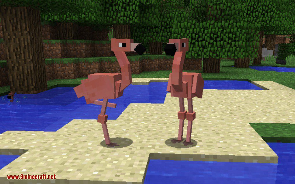 Exotic Birds Mod (1.20.1, 1.19.3) - Birds Take Over Minecraft 5