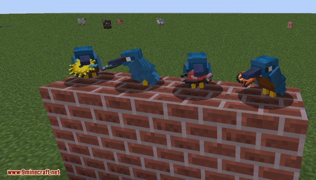 Exotic Birds Mod (1.20.1, 1.19.3) - Birds Take Over Minecraft 8