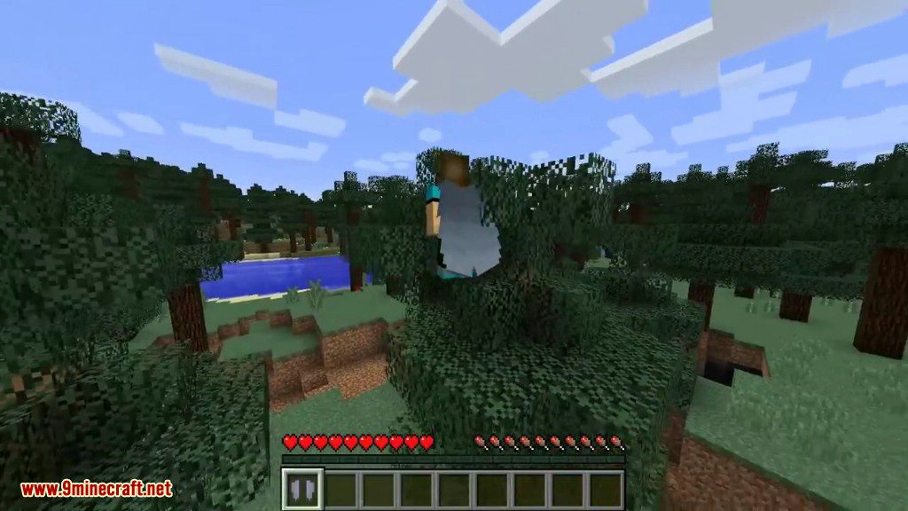 Craftable Elytra Mod 1.12.2, 1.11.2 (Fly in The Sky) 5