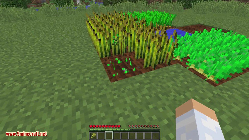 Gentle Harvest Mod 1.12.2, 1.11.2 (Automatic Crop Replanting) 2