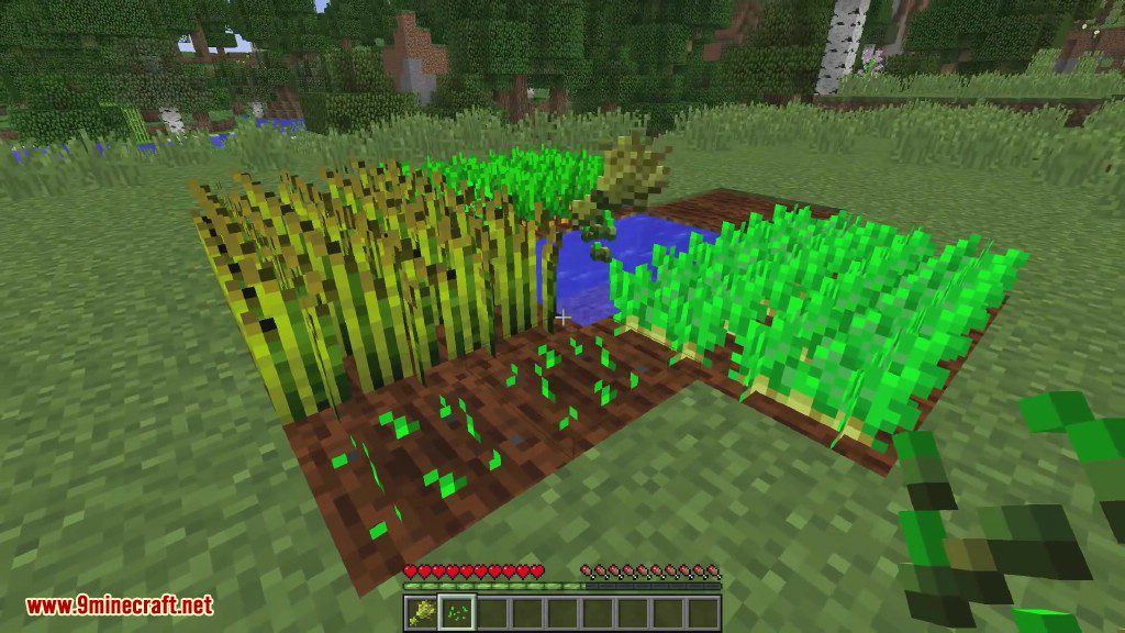 Gentle Harvest Mod 1.12.2, 1.11.2 (Automatic Crop Replanting) 3