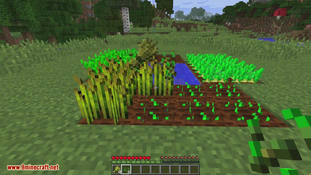 Gentle Harvest Mod 1.12.2, 1.11.2 (Automatic Crop Replanting) 4