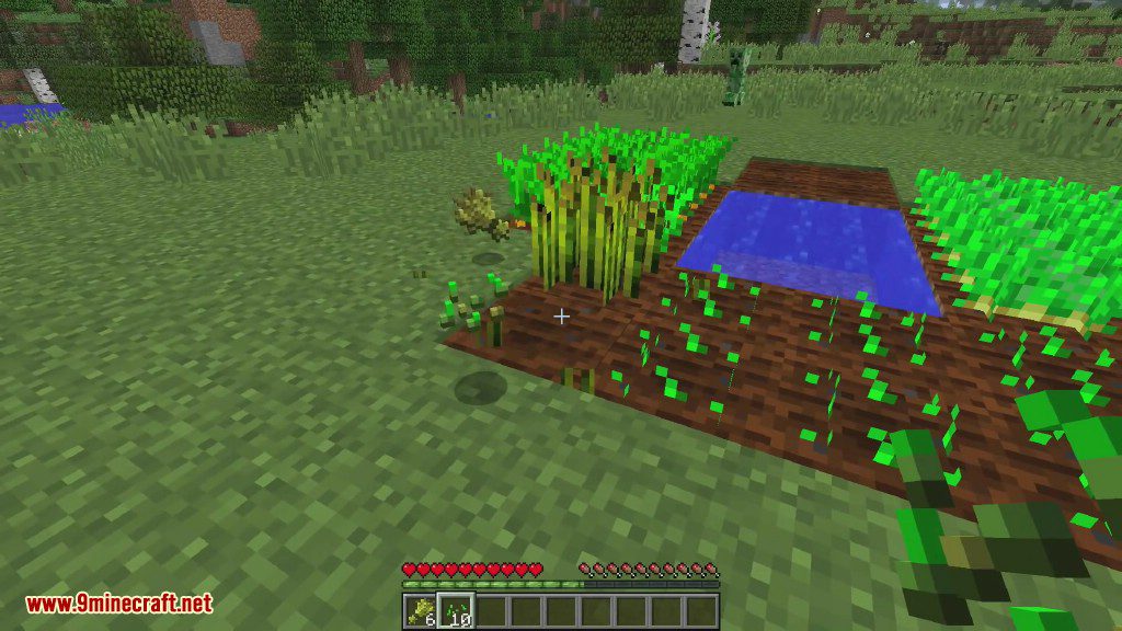 Gentle Harvest Mod 1.12.2, 1.11.2 (Automatic Crop Replanting) 5