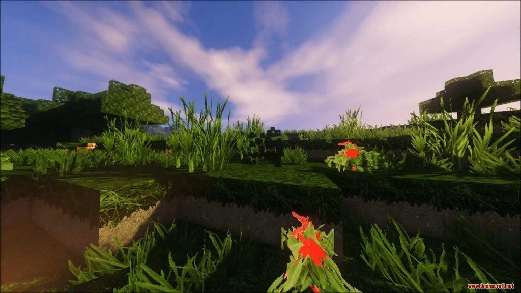 BackyardCraft Photo Realism Resource Pack 1.12.2, 1.11.2 4