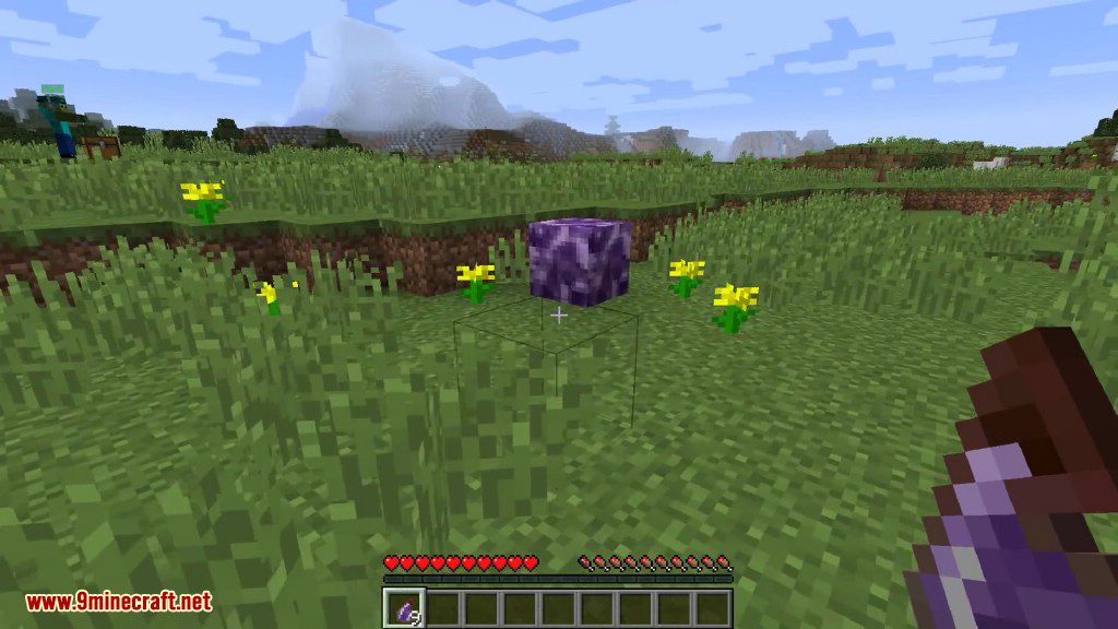 Bacteria Mod 1.8, 1.7.10 (Destructive and Fast Spreading) 5