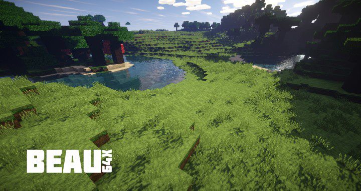 Beau Resource Pack 1.12.2, 1.11.2 1