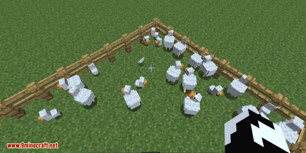 ChickenShed Mod (1.20.1, 1.19.4) - Chickens Shedding Feathers 5