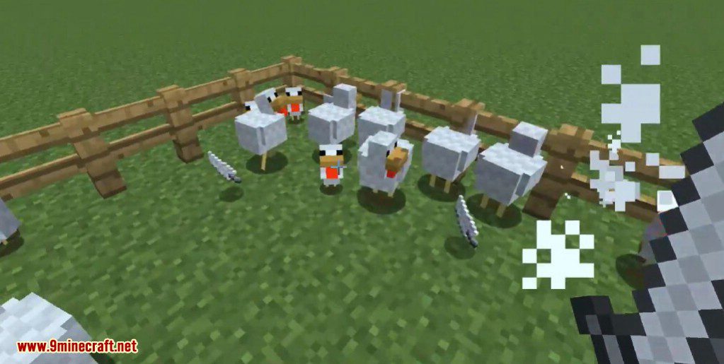 ChickenShed Mod (1.20.1, 1.19.4) - Chickens Shedding Feathers 7