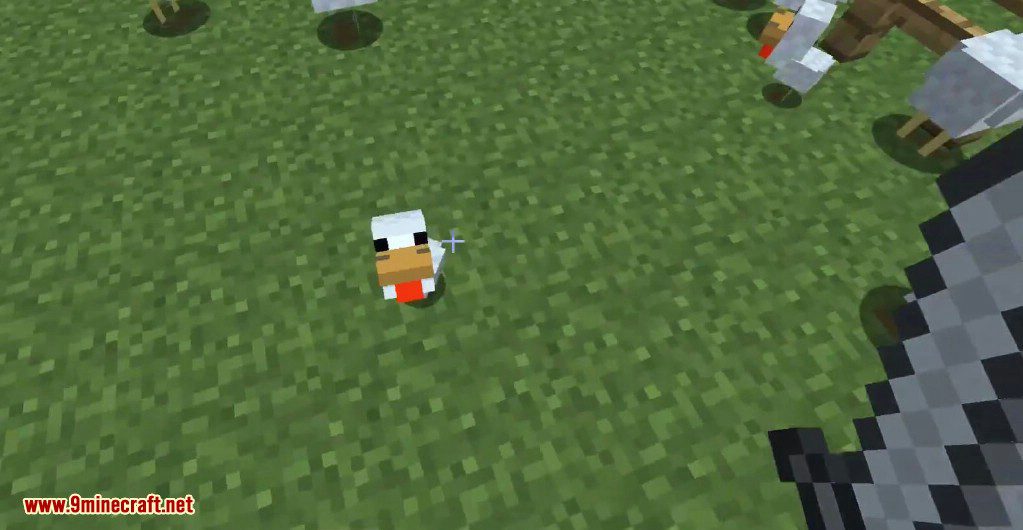 ChickenShed Mod (1.20.1, 1.19.4) - Chickens Shedding Feathers 8