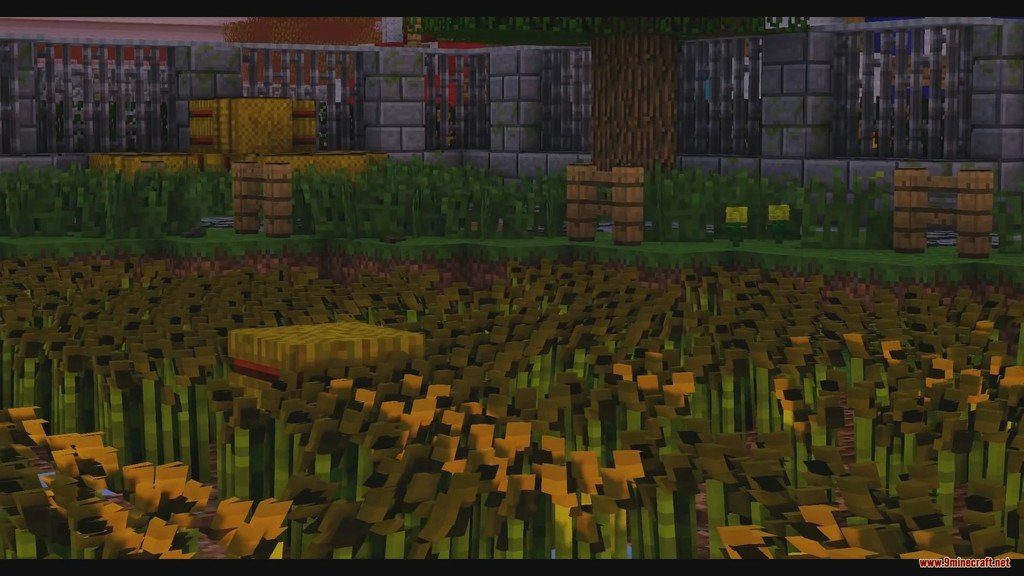 Default 3D Resource Pack (1.16.5, 1.15.2) - Texture Pack 8