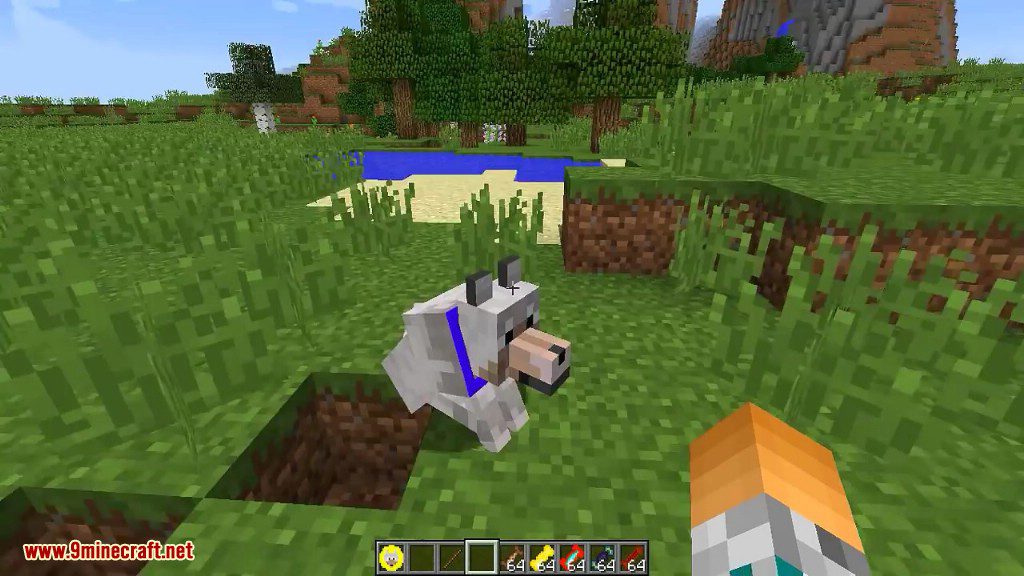 Doggy Talents Mod (1.20.1, 1.19.3) - Pet Doggy Training 7