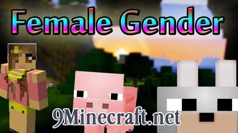 Female Gender Option Mod 1.7.10 Thumbnail