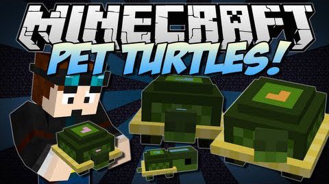 Pet Turtles Mod 1.7.10 Thumbnail