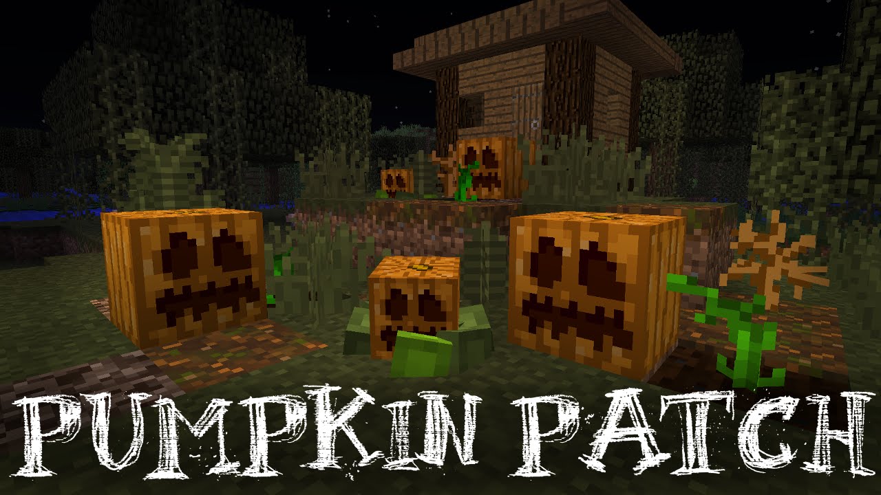 Pumpkin Patch Resource Pack (1.12.2, 1.14.4) 1