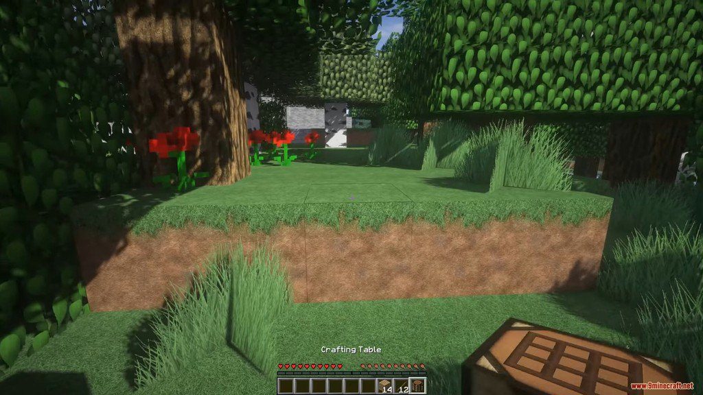 R3D.CRAFT Resource Pack 1.12.2, 1.11.2 5