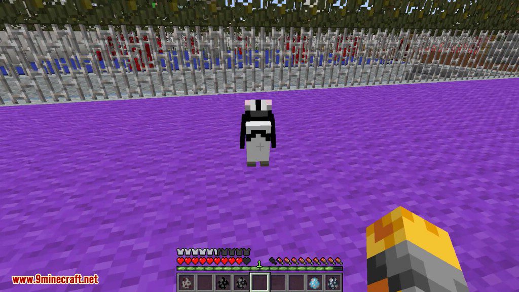 Rancraft Penguins Mod 1.7.10 (Breed All Types of Penguins) 13