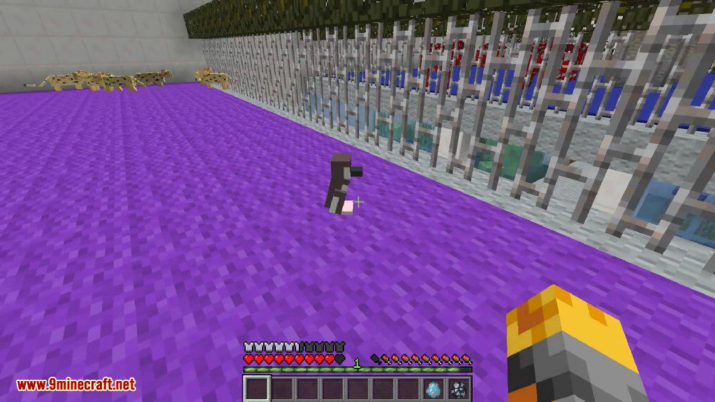 Rancraft Penguins Mod 1.7.10 (Breed All Types of Penguins) 15