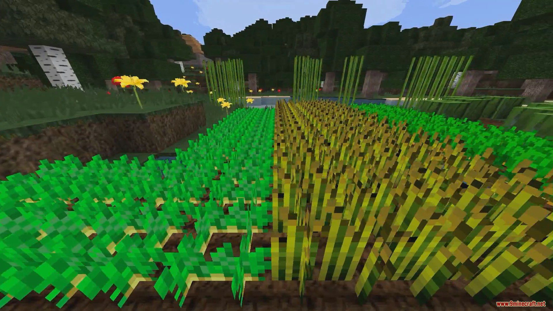 T-Craft Realistic Resource Pack (1.20.4, 1.19.4) - Texture Pack 7