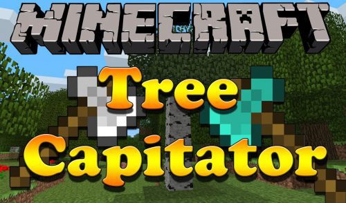 TreeCapitator Mod (1.12.2, 1.11.2) – Speed Up The Removal of Trees Thumbnail