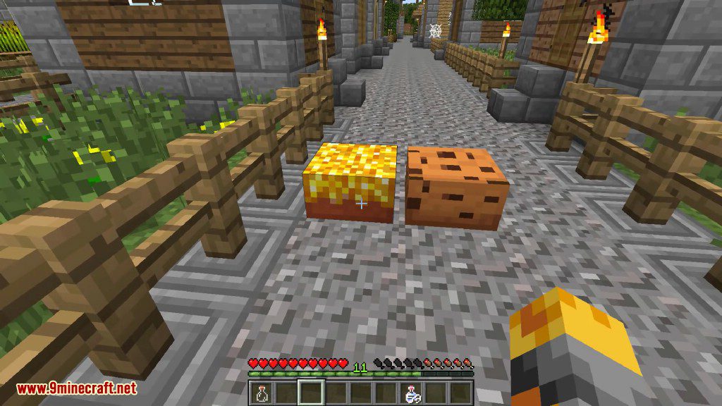 Cake is a Lie Mod 1.8.9, 1.7.10 (A Lot of Cakes) 11