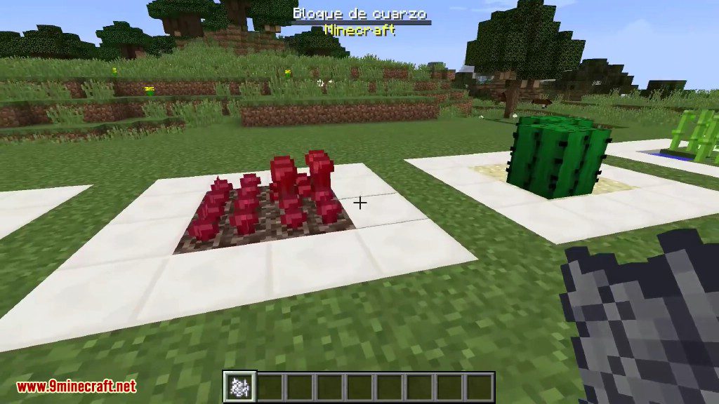 Expanded Bonemeal Mod 1.12.2, 1.11.2 (New Uses for Bone Meal) 5