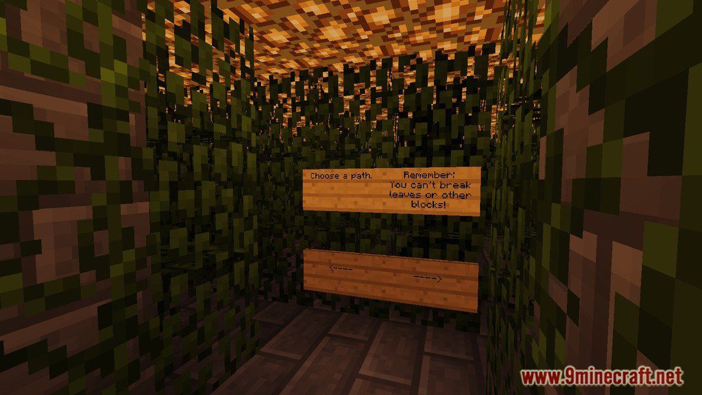 Find Your Way Out Map 1.12.2, 1.11.2 for Minecraft 5