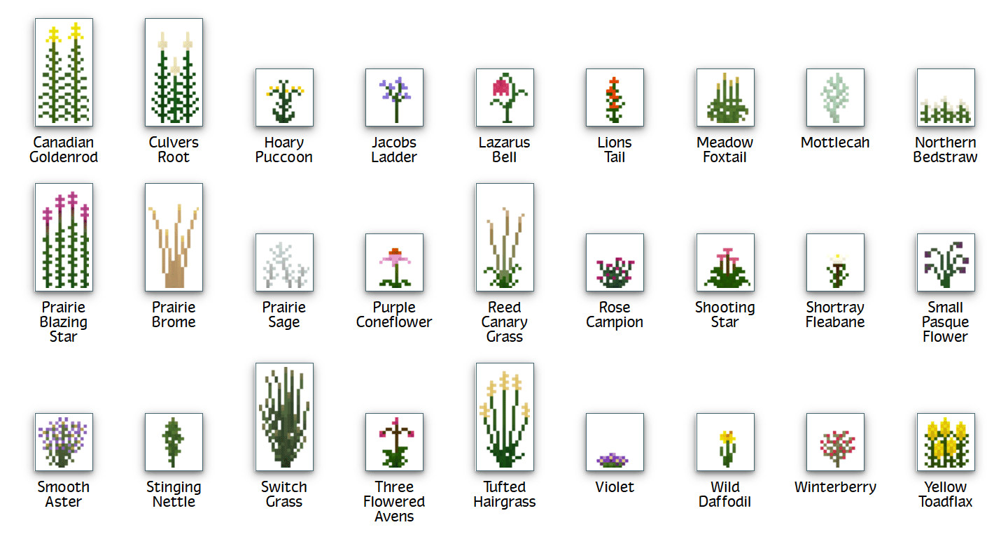 Plant Mega Pack Mod 1.12.2, 1.7.10 (Hundreds of New Plants) 27