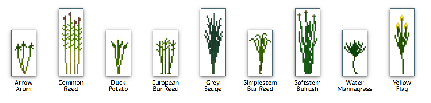 Plant Mega Pack Mod 1.12.2, 1.7.10 (Hundreds of New Plants) 36
