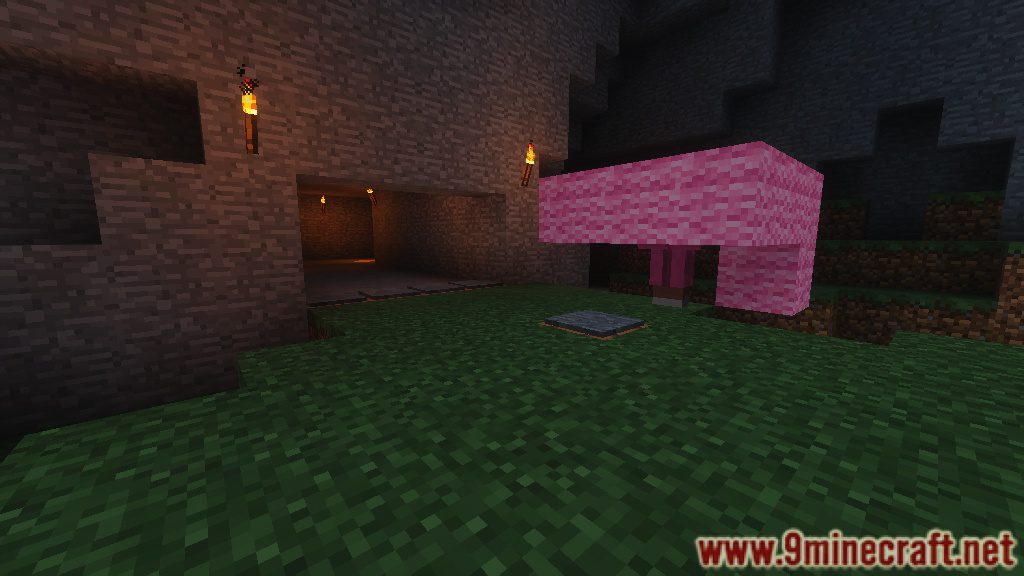 Stranded Adventure Map 1.12.2, 1.11.2 for Minecraft 5