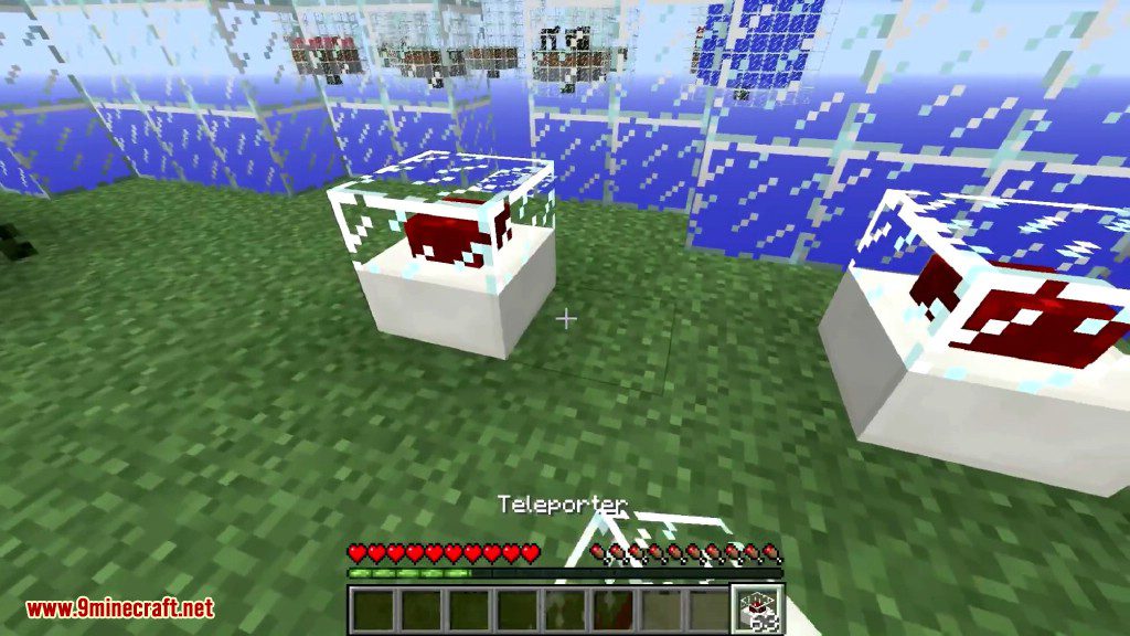 Vanilla-Inspired Teleporters Mod 1.12.2, 1.11.2 5